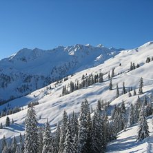 Alpbachtal
